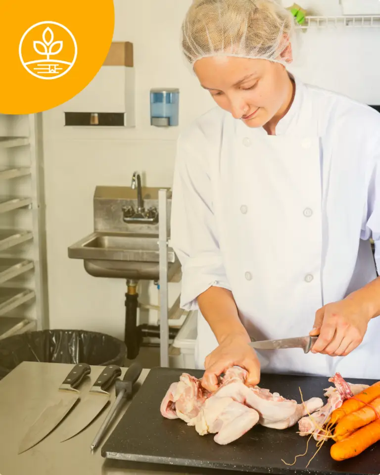 La importancia de la gestión de calidad en servicios de alimentación: errores que pueden costarte caro