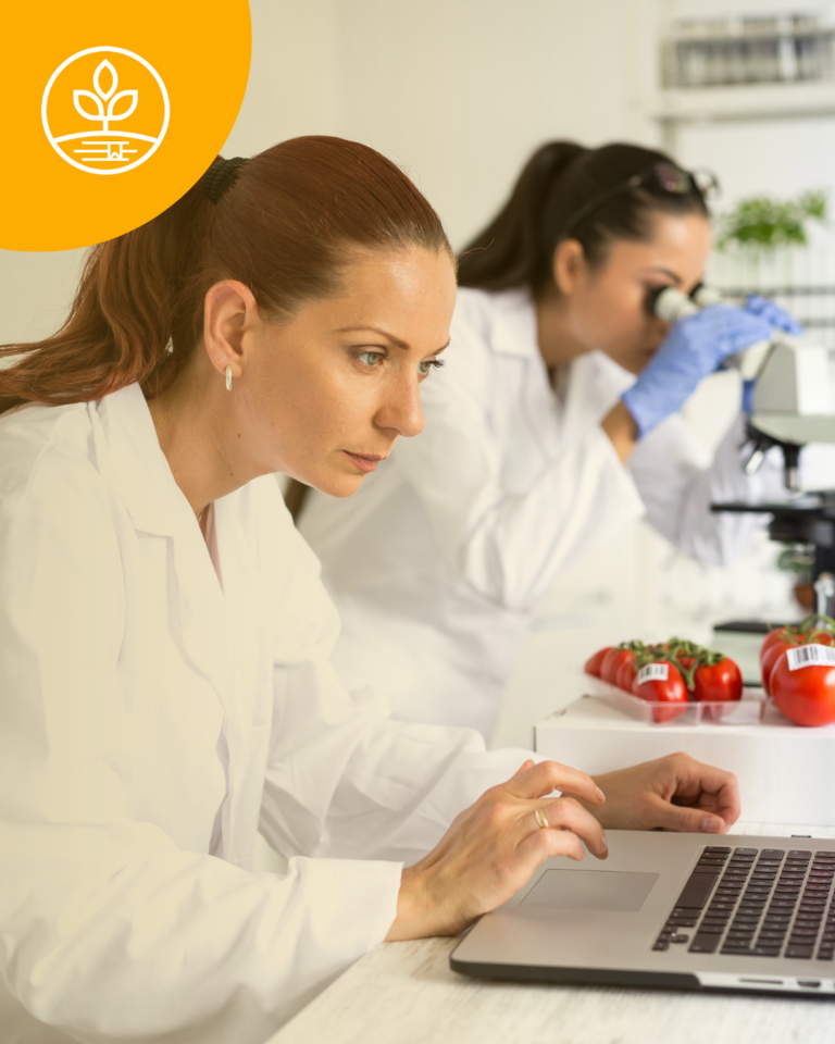 Menús institucionales eficientes: el corazón de una gestión de calidad en alimentación colectiva