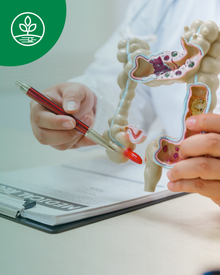 Nutrición y Enfermedad Inflamatoria Intestinal (EII): Nuevas Directrices de la AGA que todo Nutricionista Debería Conocer