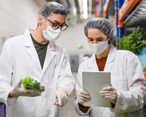 Certificación Internacional en Auditoría Interna de Calidad, implementación en servicios de alimentación - Edición 1 / cohorte 1