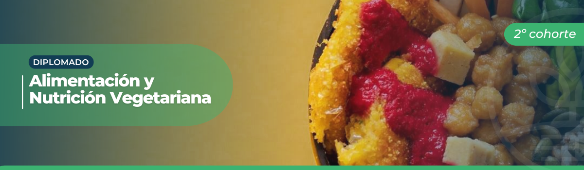 Banner landing Academy - 1200 x 350px - Diplomado en Alimentación y Nutrición Vegetariana - E1C2