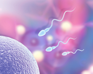 Diplomado en Salud Hormonal y Fertilidad, nutrición y ejercicio como herramientas terapéuticas - Edición 1 / cohorte 1