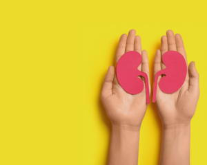 Certificación Internacional en Nutrición Clínica Renal, de la fisiopatología a la intervención: ciencia aplicada en nutrición renal - Edición 3 / cohorte 2