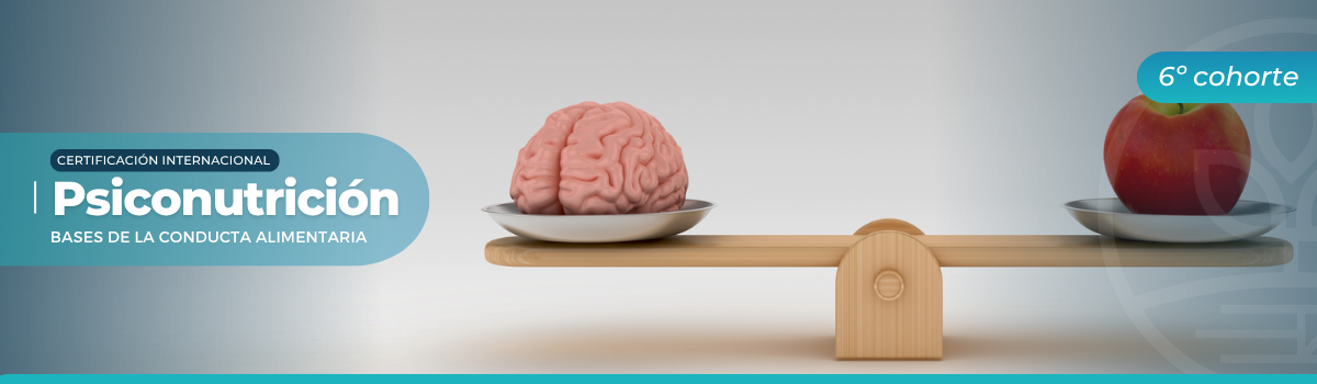 Banner landing Academy - 1200 x 350px - Cert. en Psiconutrición C6
