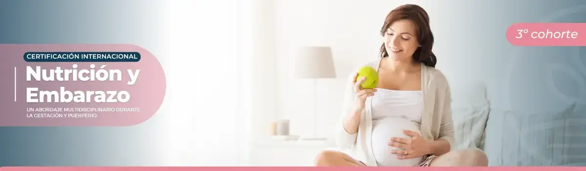 Banner landing Academy - 1200 x 350px - Certificación Internacional en Nutrición y Embarazo C3