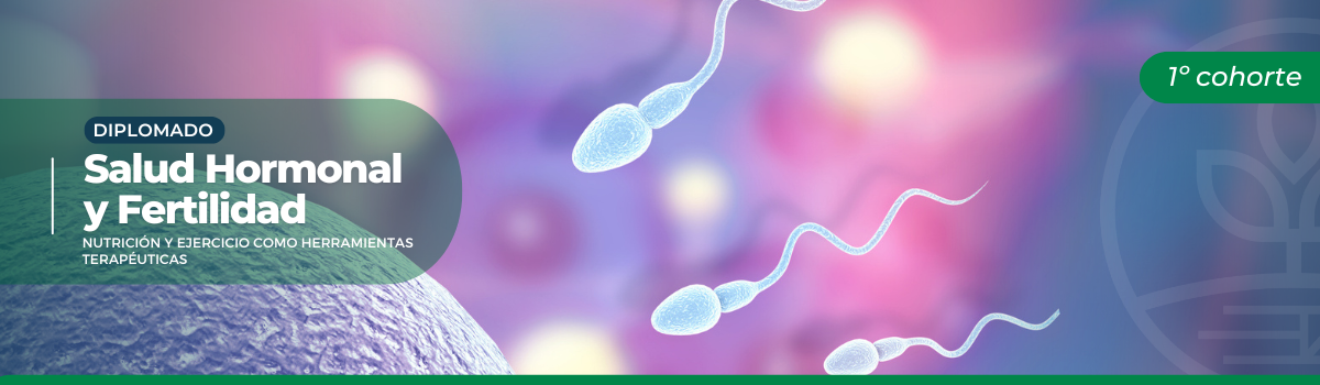 Banner landing Academy - 1200 x 350px - Diplomado en Salud Hormonal y Fertilidad E1C1 
